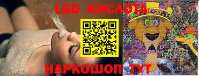 прущие грибы Камышлов