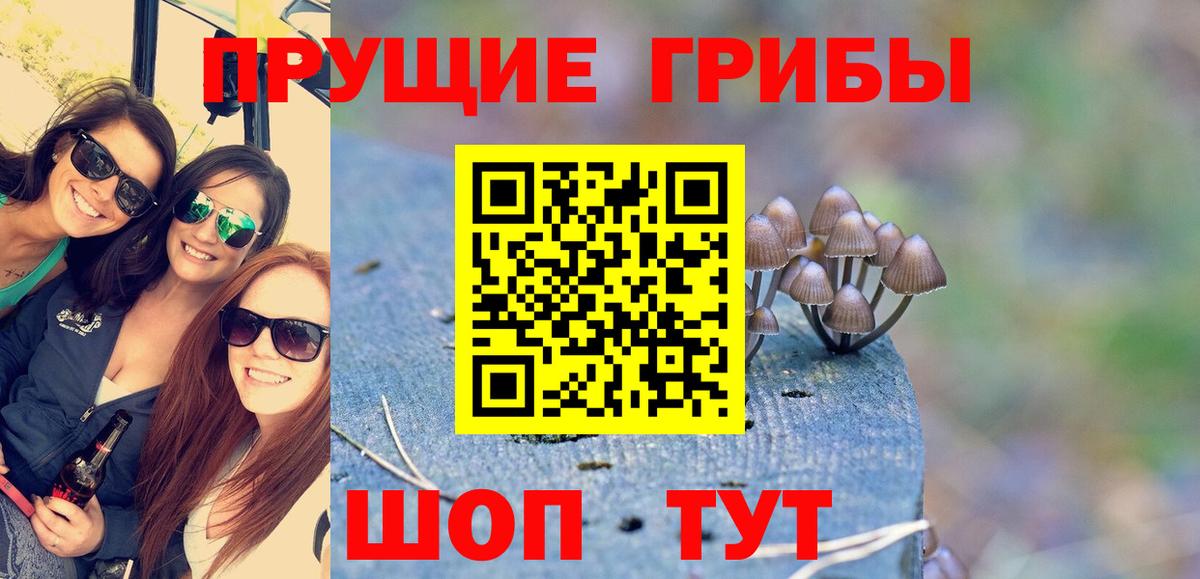Клин  Псилоцибиновые грибы мухоморы  Вход с VPN  хочу   Псилоцибиновые грибы Psilocybine cubensis 