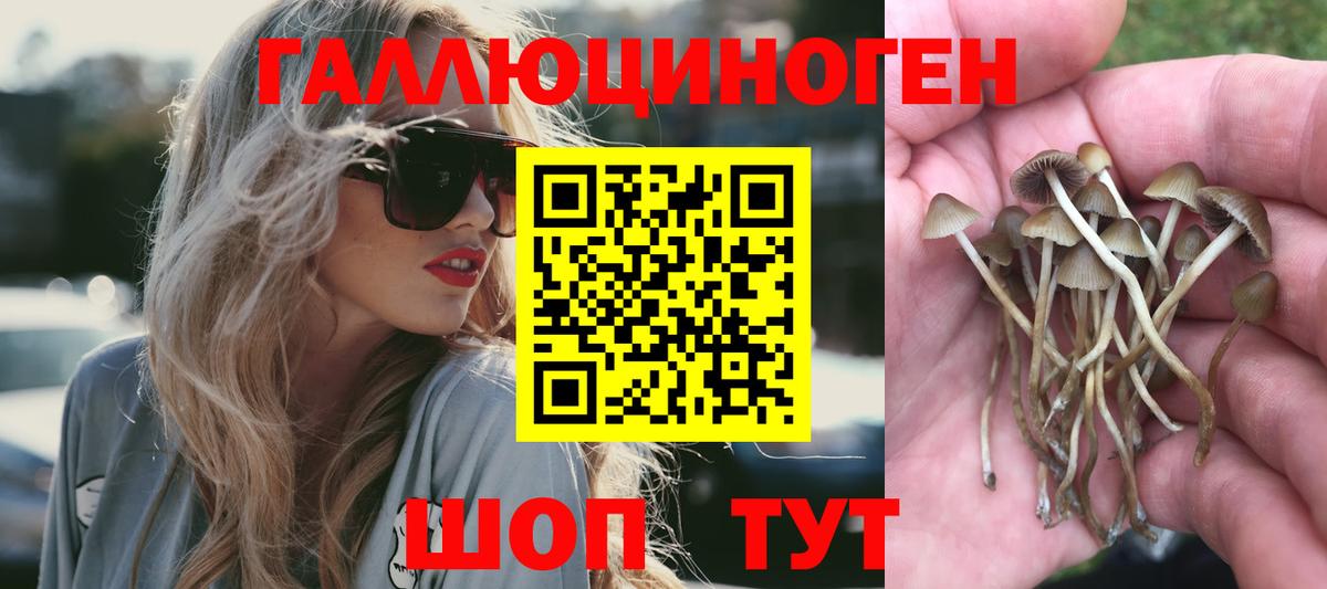 Галлюциногенные грибы мицелий Клин
